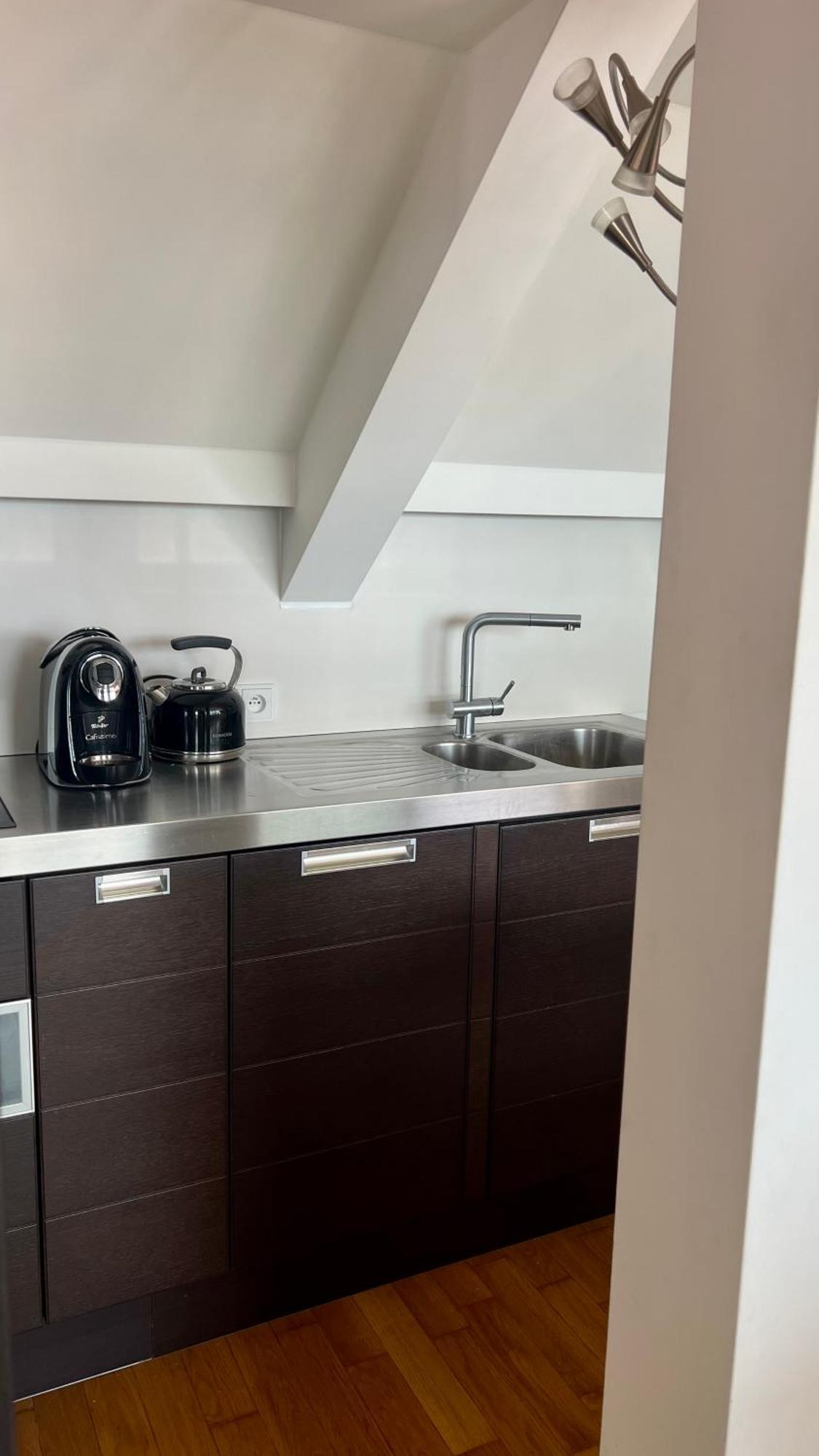Apartman Se Saunou A Terasou S Vyhledem Na برنو المظهر الخارجي الصورة