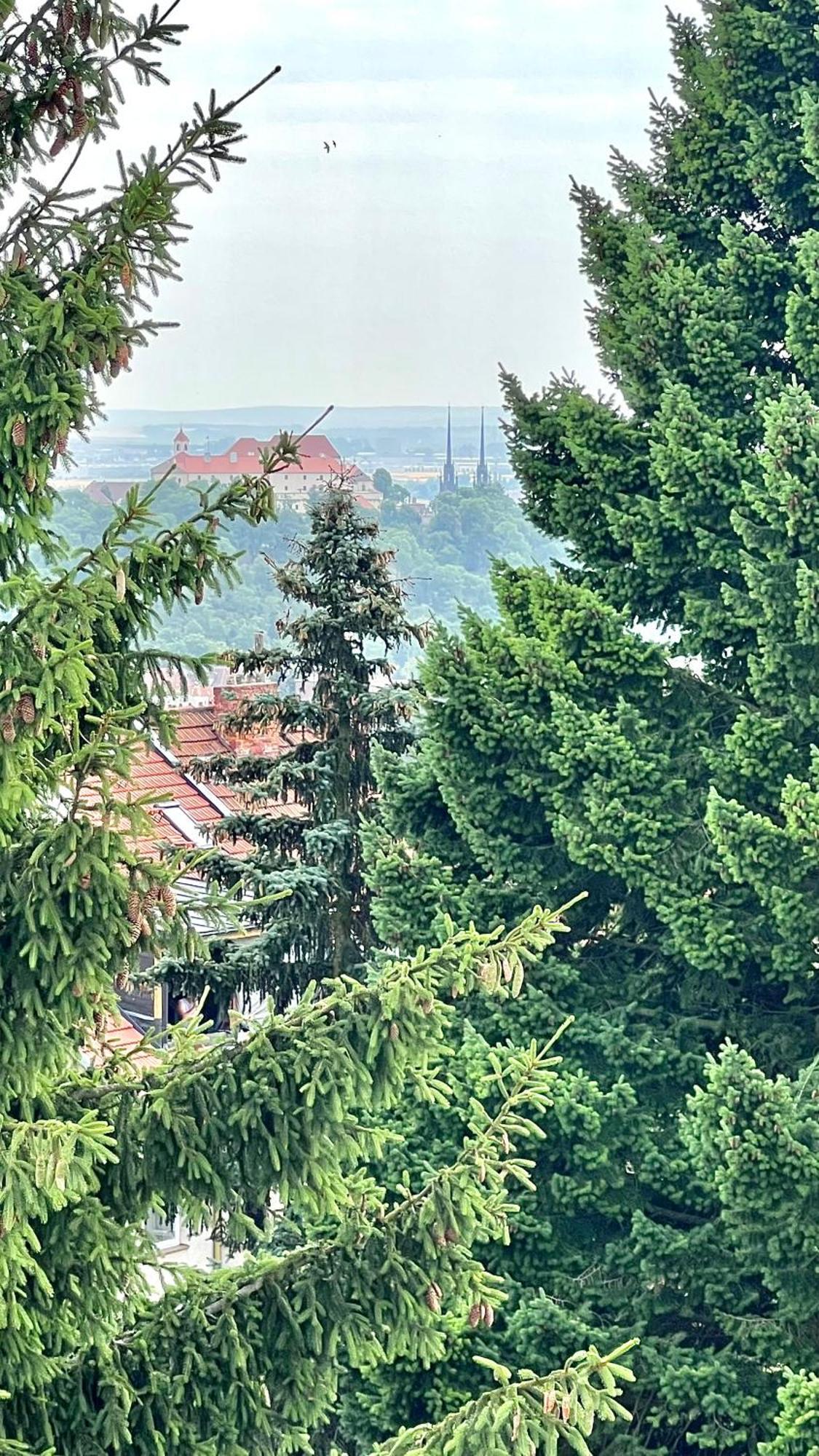 Apartman Se Saunou A Terasou S Vyhledem Na برنو المظهر الخارجي الصورة