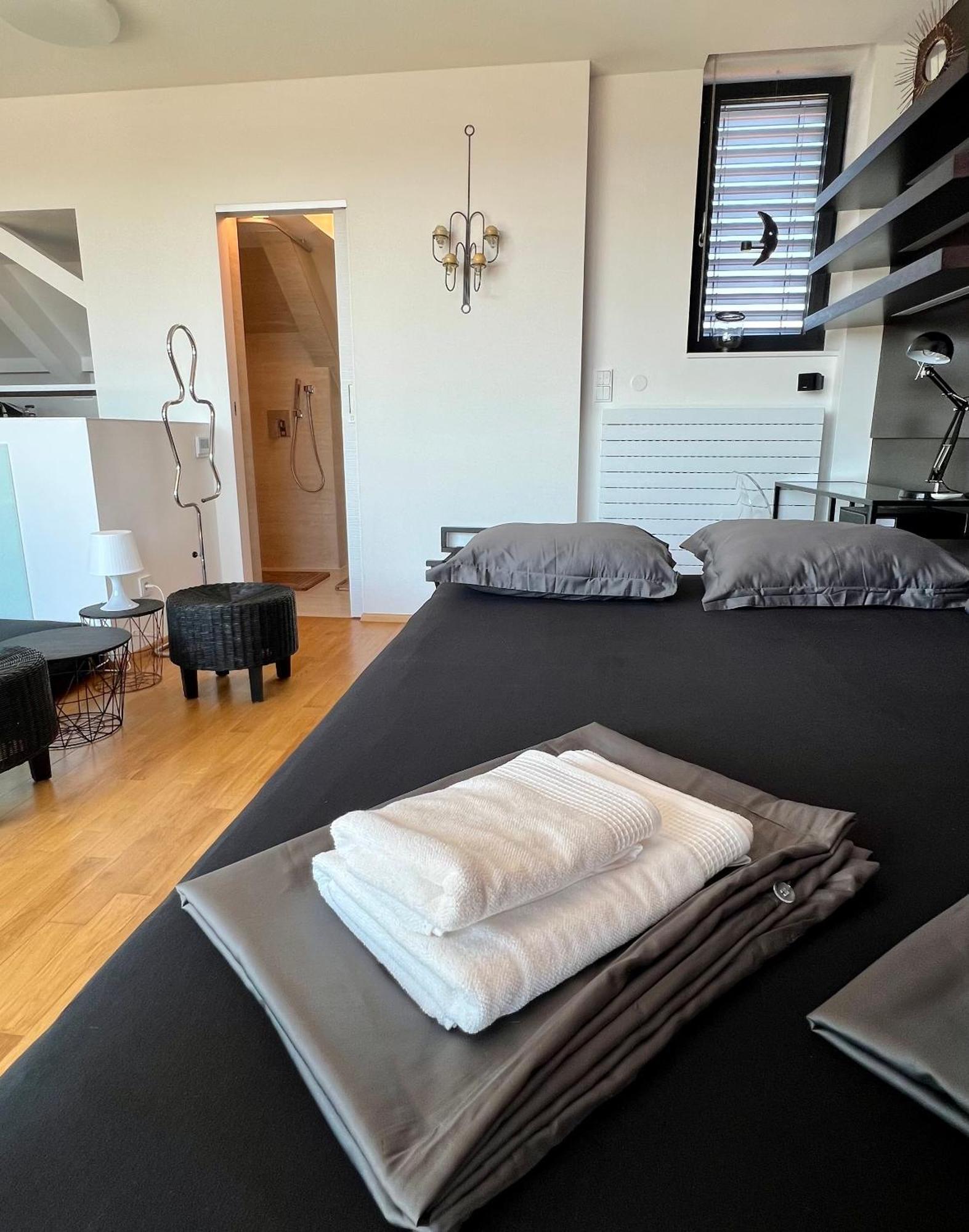 Apartman Se Saunou A Terasou S Vyhledem Na برنو المظهر الخارجي الصورة